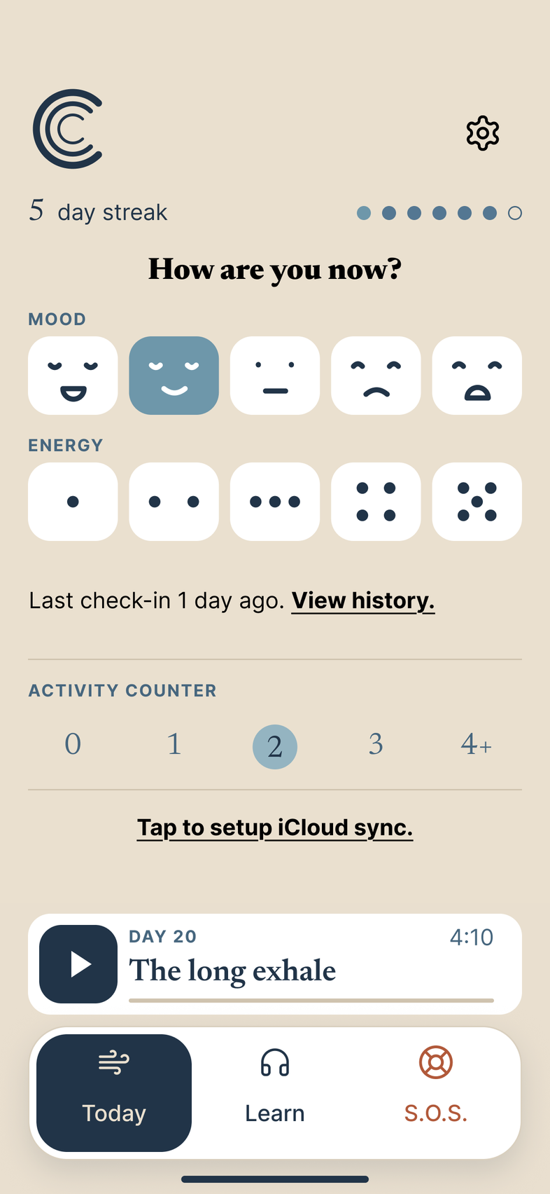 Calm Crew’s Today screen on an iPhone, in Day mode, with sample data. Under the title “How are you now?” are five mood buttons with faces, the second, Steady, selected, and five energy buttons showing one to five dots, none chosen yet. The header shows a 5 day streak and a gear for Settings. Below are the line “Last check-in 1 day ago. View history.”, an activity counter at 2, the link “Tap to setup iCloud sync.”, a player for Day 20, The long exhale, and the Today, Learn and S.O.S. tabs.