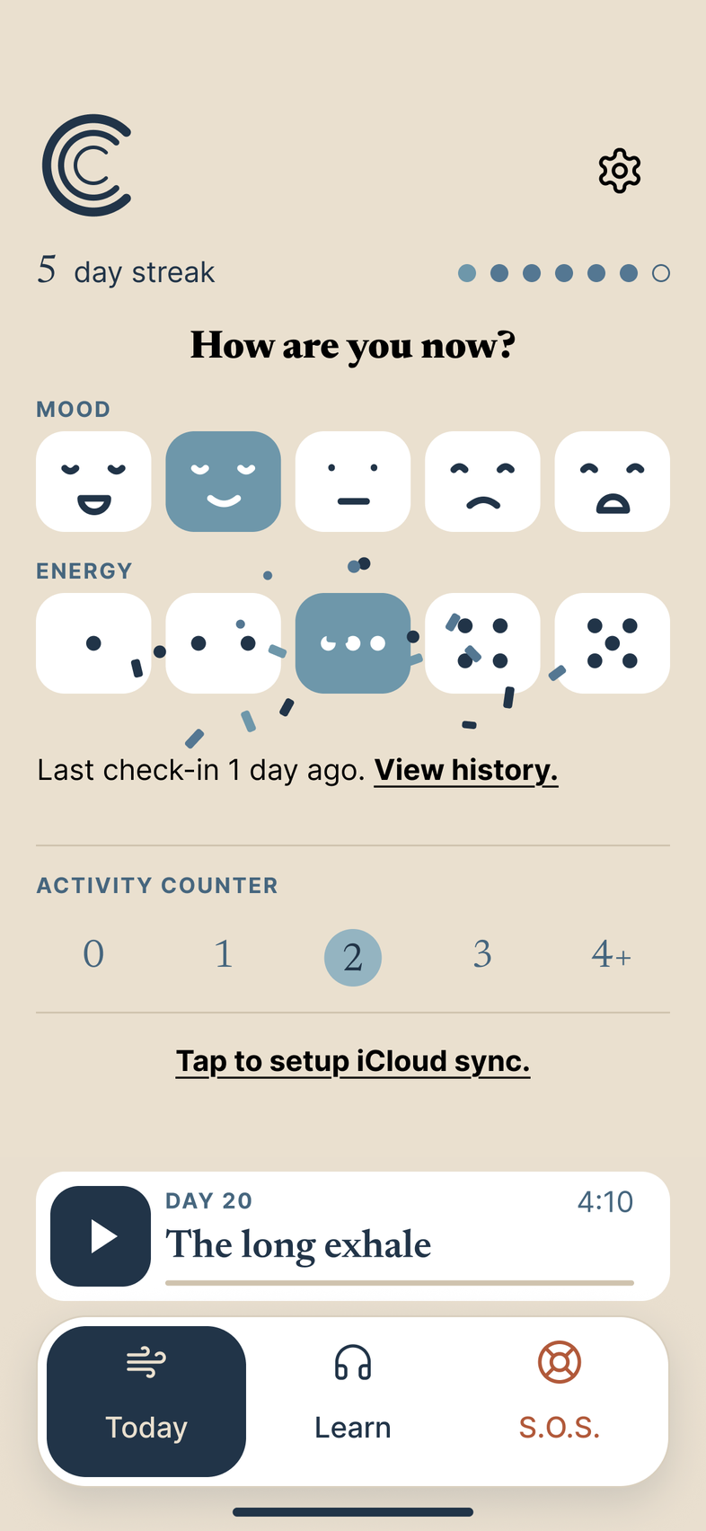 The Today screen in Day mode, sand with black type and white buttons, with sample data: a check-in just saved, with the Steady face and the three-dot energy level selected and a little confetti around them.
